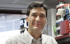 Manuel Serrano, experto del Centro Nacional de Investigaciones Oncológicas (CNIO).